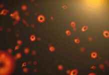 Explaining Dark Matter with Tiny Primordial Black Holes news-24092024-180416