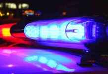 Father Arrested for Attempted Attack on Trump; Son Arrested for Child Porn news-24092024-233743