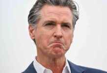 California Governor vetoes bill mandating opt-out signals for user data sales news-24092024-233827