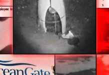 Titan Submersible Faces Scrutiny Over Carbon Fiber Hull in Hearings news-26092024-004354