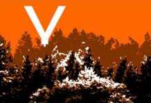 13 Standout Companies from YC Demo Day 1 | TechCrunch news-26092024-045119