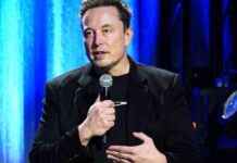 Elon Musk’s Takeover: X’s First Transparency Report Revealed news-26092024-045359