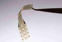 Graphene Brain Implant: Human Trial Yields Positive Results news-26092024-224357