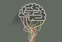 AI Startups Shine at YC Demo Day and Make Headlines | TechCrunch news-28092024-021953