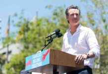 California Governor Vetoes Controversial AI Bill SB 1047 news-30092024-013615