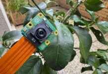 Raspberry Pi Camera Module Revolutionizes Vision-Based AI Applications news-30092024-134714