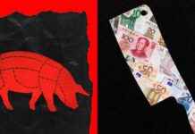 New Title: Rise of Pig Butchering: What You Need to Know news-30092024-134815