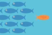 OpenAI Raises Billions, Leaving Room for Other Startups to Access Capital news-05102024-093225