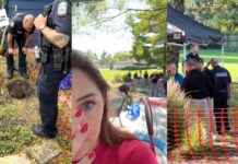 TikTok’s Involvement in Real-Time True Crime Story: What’s in the Rug? news-05102024-213922