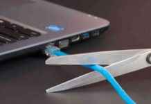 Troubleshooting Guide for Windows 11 Update 2024 Connection Issues news-11102024-164730