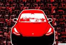 Tesla’s Robotaxi Service: Launching Next Year, Elon Musk Claims news-24102024-050141