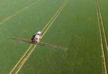 EU Boosts EIC Budget for Deeptech R&D and Scale-ups news-29102024-173858