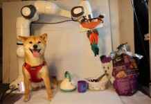 Teaching Robots New Skills: MIT’s Language Model-Inspired Method | TechCrunch news-03112024-142102