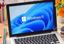 Troubleshooting Office Apps Crashing on Windows 11 24H2 PCs with CrowdStrike Antivirus news-05112024-233507