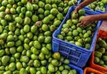 Lightspeed Accelerates Expansion into Rural India with Focus on Wheelocity | TechCrunch news-12112024-042251