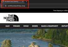 Beware of Scam Online Stores on Black Friday: How to Spot Fraudulent Websites news-16112024-181657