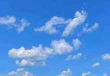 Understanding Bluesky: Exploring its Potential beyond the Underdog Status news-18112024-002346