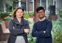 Factiverse: Using AI to Combat Disinformation | TechCrunch news-18112024-062536