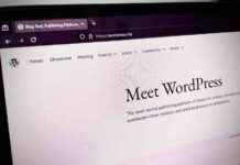 Automattic Acquires Grammar Checker Harper | TechCrunch news-21112024-183533