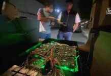 Police in Bangkok arrest SMS blaster gang for sending phishing messages – TechCrunch news-25112024-222552