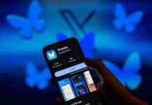 Redefining Verification: Bluesky vs. Blue Checks | Tech Insights news-26112024-223200