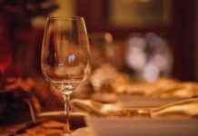 AI’s Culinary Creativity: A Week in AI Innovations | TechCrunch news-27112024-223606