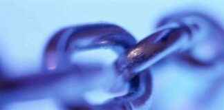 Connecting LLMs with Premium Content Sources: Linkup Review & Features news-29112024-044116