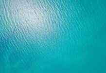 Meta Announces $10 Billion Subsea Cable Project Expansion | TechCrunch news-29112024-164252