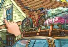 Agave Startup Secures $18M Funding for Find the Cat App | TechCrunch agave-startup-secures-18m-funding-for-find-the-cat-app-techcrunch