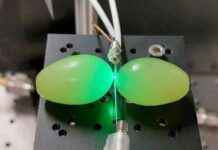 Exploring the Potential of Microwaved Grapes for Quantum Sensing exploring-the-potential-of-microwaved-grapes-for-quantum-sensing