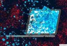 Rhode Island Social Services Cyberattack: Personal Data Breach Warning rhode-sland-social-services-cyberattack-personal-data-breach-warning