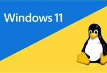 Top 3 Free Linux Distros to Mimic Windows: Features and Comparison top-3-free-linux-distros-to-mimic-windows-features-and-comparison