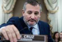 Blocking Wi-Fi Hotspots for Schoolchildren: Senator Ted Cruz’s Efforts blocking-wi-fi-hotspots-for-schoolchildren-senator-ted-cruzs-efforts