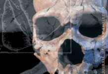 Mass Resignation of Evolution Journal Editors: What Happened? mass-resignation-of-evolution-journal-editors-what-happened