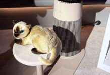 Top Home Devices and Highlights at CES 2025 top-home-devices-and-highlights-at-ces-2025