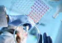 States sue to block new NIH funding policy states-sue-to-block-new-nh-funding-policy