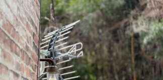 Best TV Antennas: Top Picks After Rigorous Testing best-tv-antennas-top-picks-after-rigorous-testing