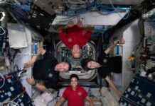 Microbial Ecosystem on the International Space Station microbial-ecosystem-on-the-nternational-space-station