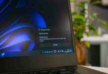 Windows 11 Antivirus: Enough for Everyday Users? windows-11-antivirus-enough-for-everyday-users