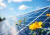 Harnessing Solar Power: How Solar Panels Are Revolutionizing Energy Consumption Harnessing Solar Power: How Solar Panels Are Transforming Energy Use