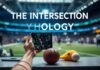 The Intersection of Technology and Fandom: How Tech is Revolutionizing Sports Merchandise The Intersection of Technology and Fandom: How Tech is Transforming Sports Merchandise